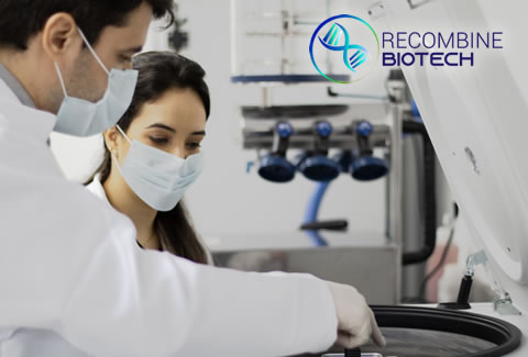 recombine biotech biotecnologia